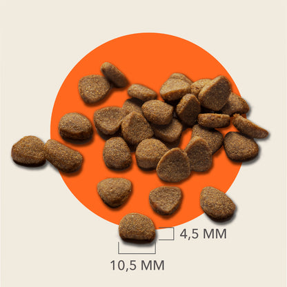 Iams Katzenfutter Trocken Getreidefrei mit Huhn für ausgewachsene Katzen, 100g