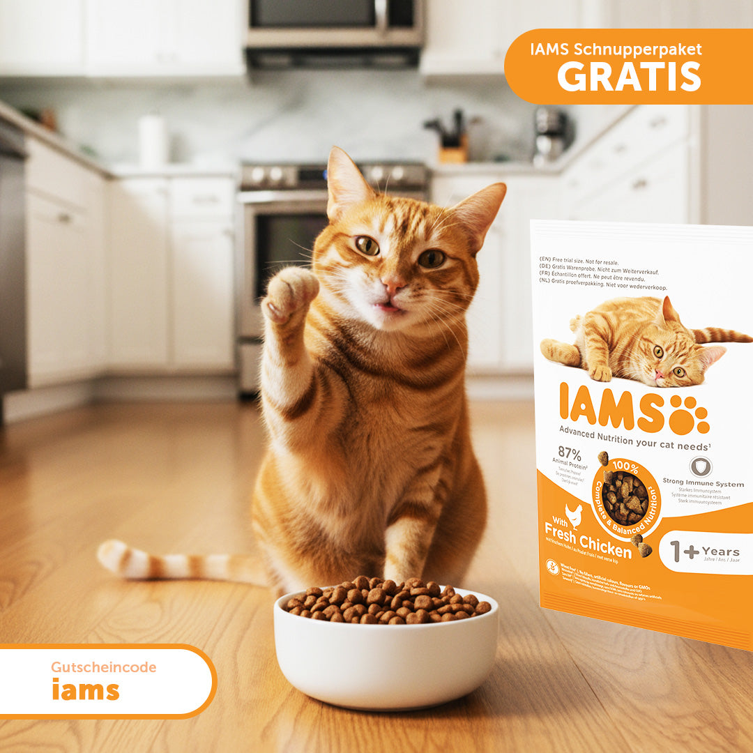 IAMS Schnupperpaket